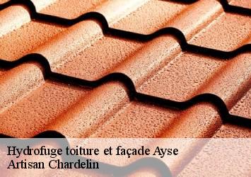 Hydrofuge toiture et façade ayse-74130 Artisan Chardelin