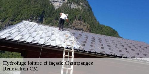 Hydrofuge toiture et façade  champanges-74500 Rénovation CM