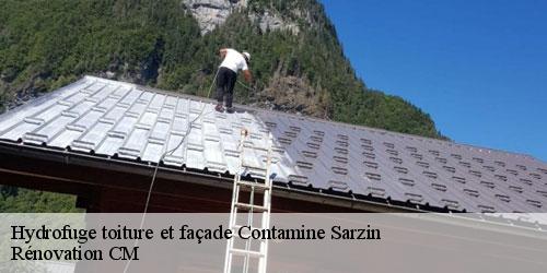 Hydrofuge toiture et façade  contamine-sarzin-74270 Rénovation CM