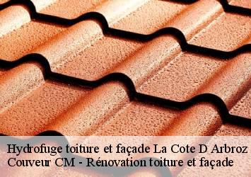Hydrofuge toiture et façade la-cote-d-arbroz-74110 Couveur CM - Rénovation toiture et façade