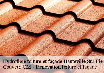 Hydrofuge toiture et façade  hauteville-sur-fier-74150 Couveur CM - Rénovation toiture et façade