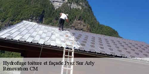 Hydrofuge toiture et façade praz-sur-arly-74120 Rénovation CM