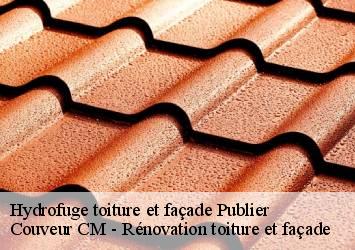 Hydrofuge toiture et façade publier-74500 Couveur CM - Rénovation toiture et façade