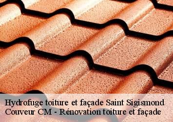 Hydrofuge toiture et façade saint-sigismond-74300 Couveur CM - Rénovation toiture et façade