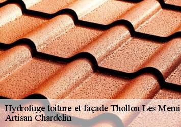 Hydrofuge toiture et façade  thollon-les-memises-74500 Artisan Chardelin