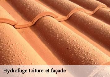 Hydrofuge toiture et façade