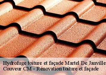 Hydrofuge toiture et façade martel-de-janville-74480 Couveur CM - Rénovation toiture et façade