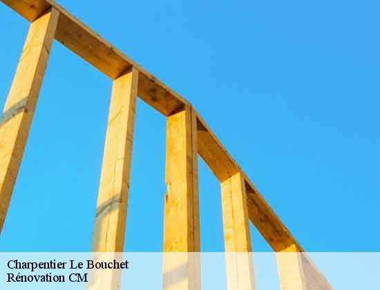 Charpentier le-bouchet-74230 Rénovation CM