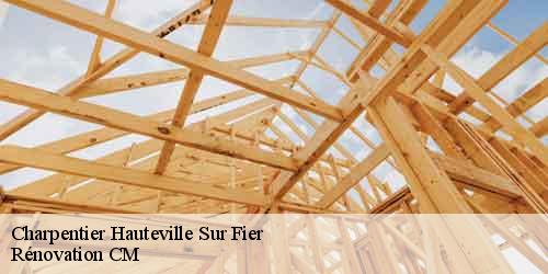 Charpentier hauteville-sur-fier-74150 Rénovation CM