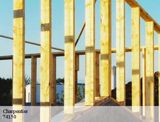Charpentier  lornay-74150 Rénovation CM