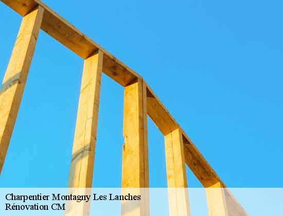 Charpentier  montagny-les-lanches-74600 Rénovation CM