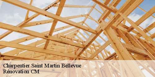 Charpentier saint-martin-bellevue-74370 Rénovation CM