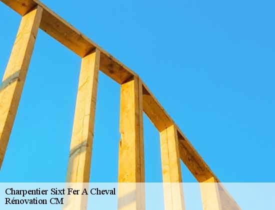 Charpentier sixt-fer-a-cheval-74740 Rénovation CM