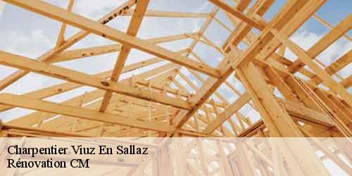 Charpentier viuz-en-sallaz-74250 Rénovation CM