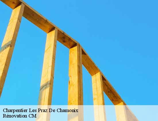 Charpentier les-praz-de-chamonix-74400 Rénovation CM